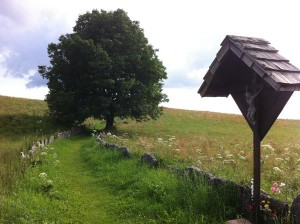 The path from Cinque Street to the airport.