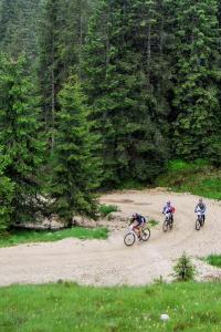 Mountain bike on the Asiago Plateau (ph: Roberto Costa Ebech).