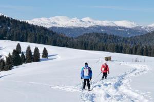 With the snowshoes on the Asiago Plateau (ph: Roberto Costa Ebech).