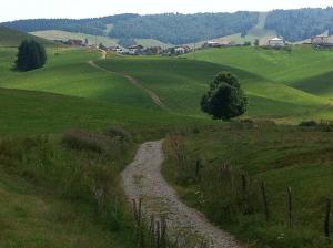 From hamlet Zocchi to Bertigo.