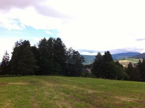 The four larches locality.