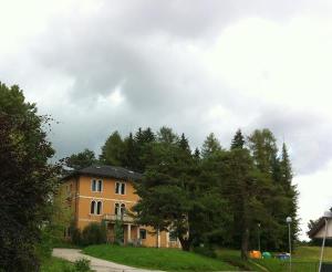 Villa Zecchin and the four larches.