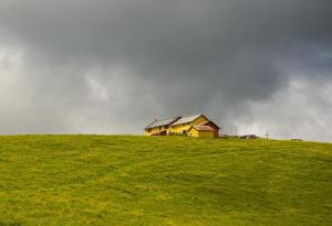 Malga Dosso (ph: Sergio Dalle Ave)