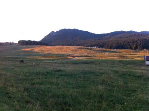 Vezzena plain with view of Spitz Verle.