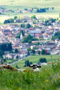 View of Asiago from the meadows (ph: Roberto Costa Ebech).